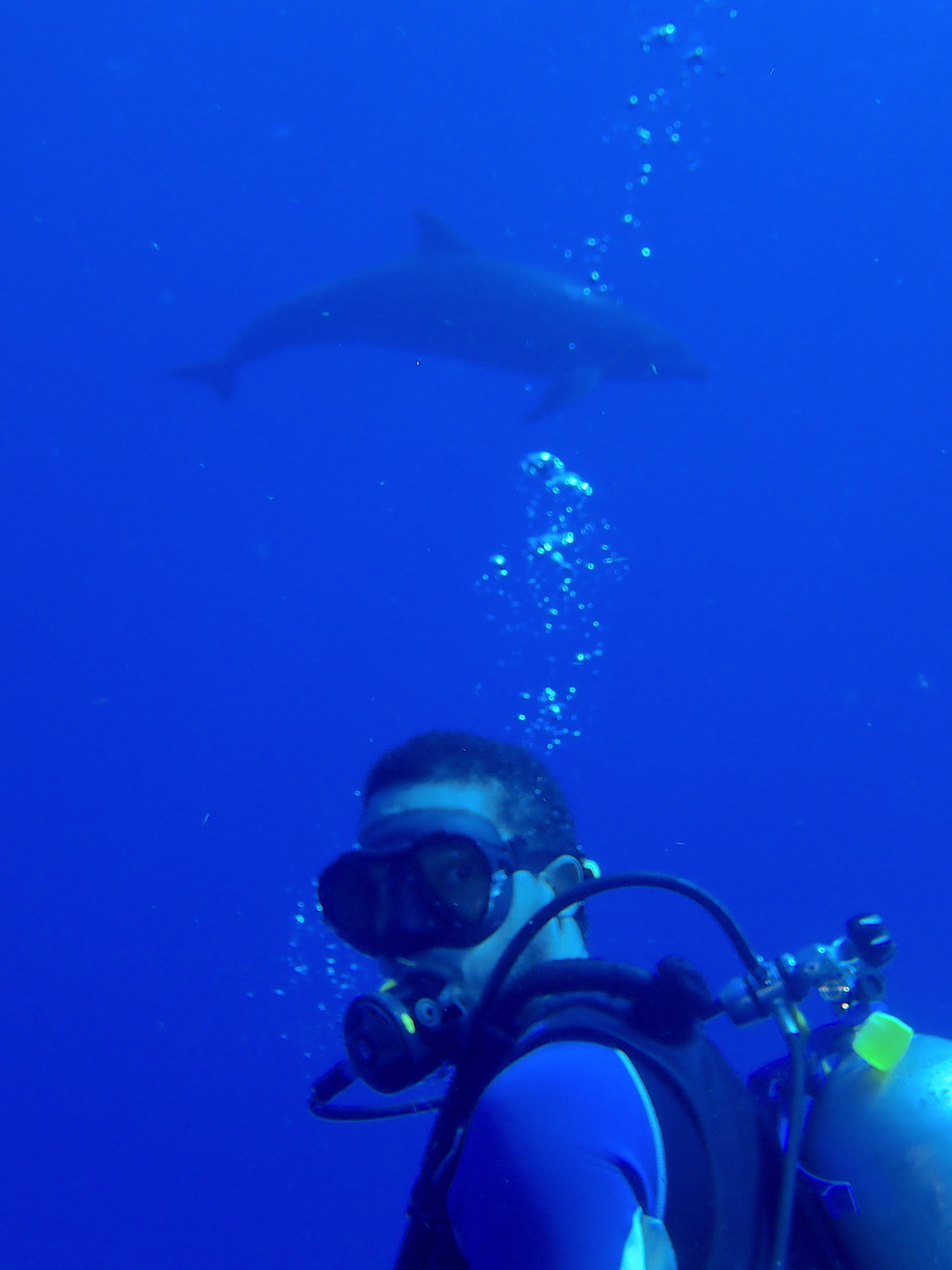 Diving Klein Curacao